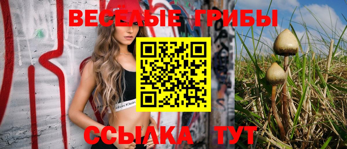 Новый Уренгой  Галлюциногенные грибы Psilocybe  где купить наркоту  Вход с VPN 