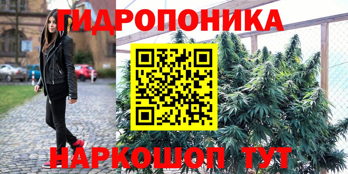 МАРИХУАНА VHQ  Вход с VPN  Новый Уренгой  МАРИХУАНА сатива  Бошки марихуана конопля 